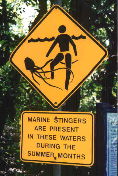 Pericolo.jpg (69451 byte)