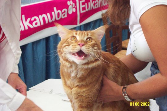 Edankaac6.jpg (40689 byte)