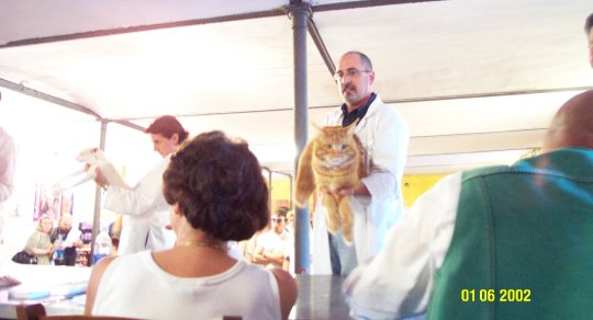 bobsabato.jpg (28790 byte)
