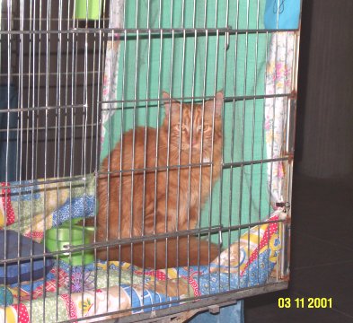 Edgard2.jpg (43705 byte)