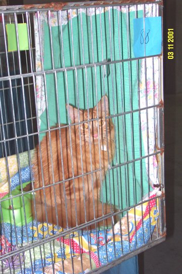 Edgard4.jpg (65007 byte)