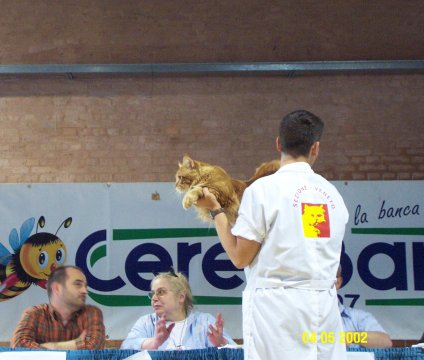 edan_palco.jpg (32881 byte)