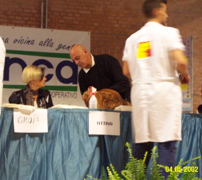 edan_palco2.jpg (33055 byte)