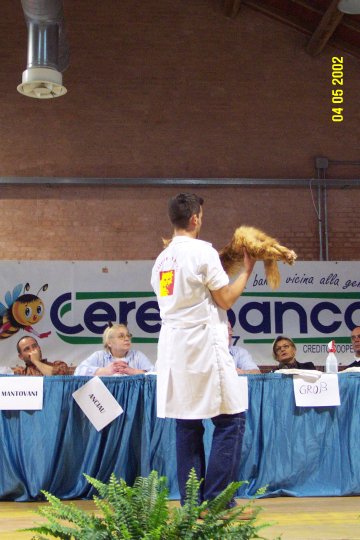 edan_palco4.jpg (47680 byte)