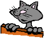 Iscriviti al ring dei GATTI Italiani