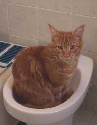 Edanbidet5.jpg (9602 byte)