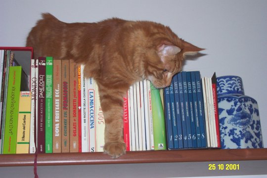 edanlibri.jpg (42273 byte)