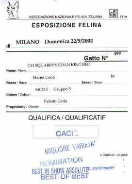 prestazione.jpg (24885 byte)