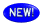 new05.gif (4999 byte)