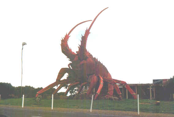 Aragosta Larry.jpg (31998 byte)