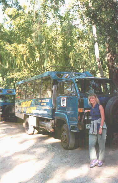 Cape Tribulation.jpg (79927 byte)