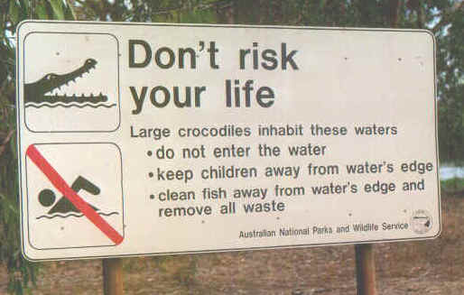 Coccodrillo 2.jpg (52911 byte)