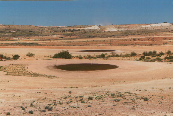 Coobergolf.jpg (51323 byte)