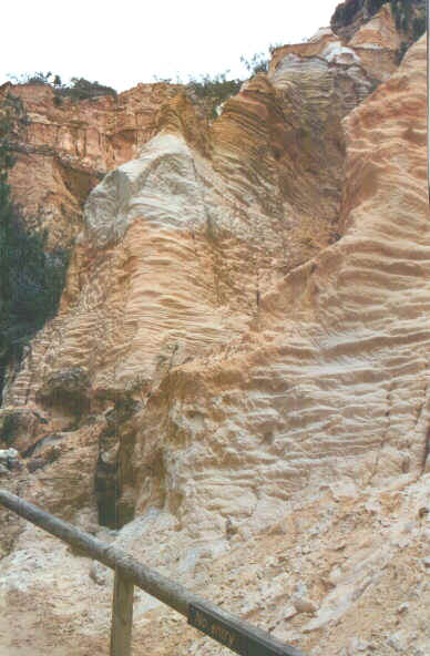 Fraser Pinnacles.jpg (63622 byte)