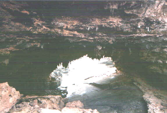 Kangaroobridge.jpg (50735 byte)