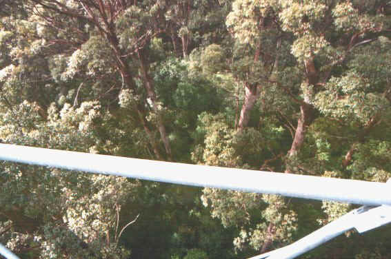 Karry 60metri.jpg (68767 byte)