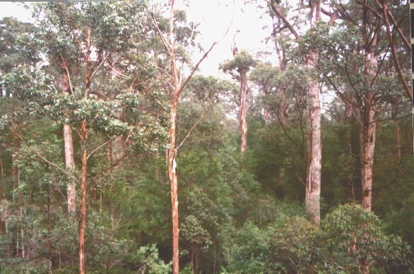 Karry Panorama1.jpg (76874 byte)