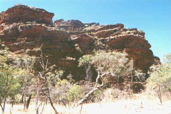 Mini bunglebungle.jpg (65458 byte)