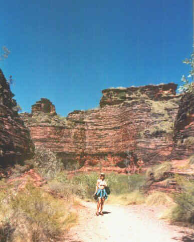 Mini bunglebungle2.jpg (51401 byte)