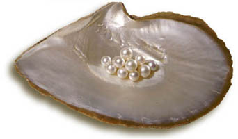 Perle.jpg (12724 byte)