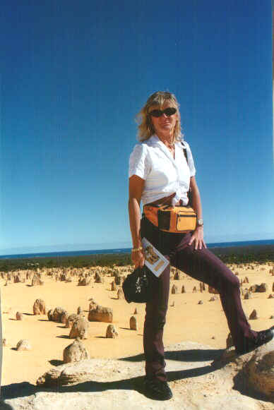 Pinnacles.jpg (40423 byte)