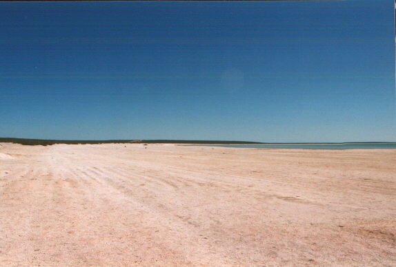 Shell beach.jpg (31268 byte)