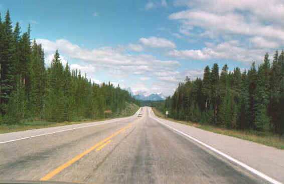 Bellezze.jpg (42993 byte)