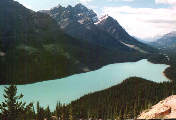 Emerald.jpg (41949 byte)