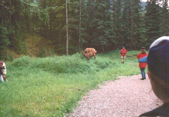 Incontri.jpg (60380 byte)