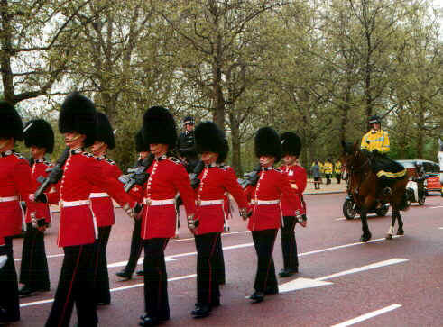 cambio1.jpg (75900 byte)