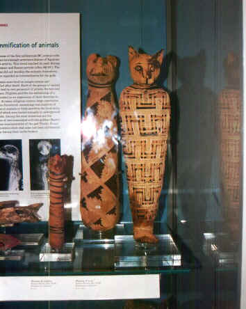 mummiagatto.jpg (44068 byte)
