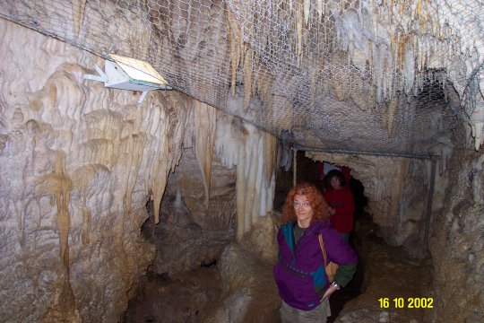 Dcp_0634_.jpg (59715 byte)