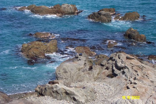 Dcp_0648_.jpg (65642 byte)