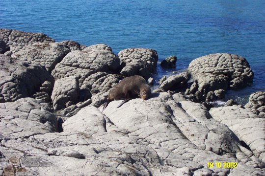 Dcp_0650_.jpg (70657 byte)