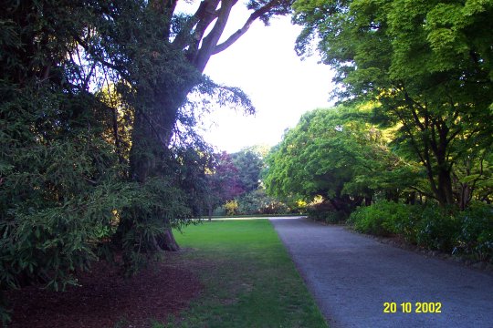 Dcp_0654_.jpg (63988 byte)