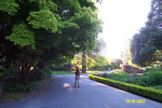 Dcp_0655_.jpg (57054 byte)