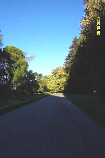 Dcp_0656_.jpg (29633 byte)