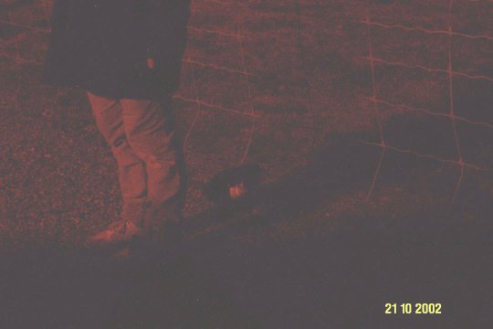 Dcp_0671_.jpg (18032 byte)