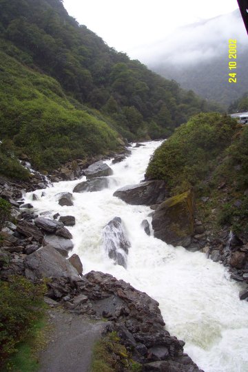 Dcp_0705_.jpg (48386 byte)