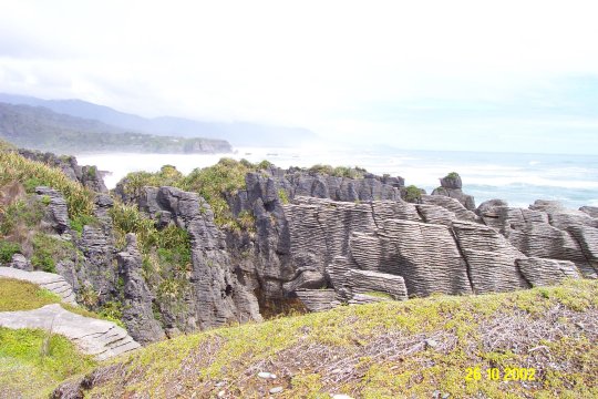 Dcp_0721_.jpg (58134 byte)