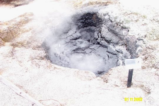 Dcp_0746_.jpg (49423 byte)