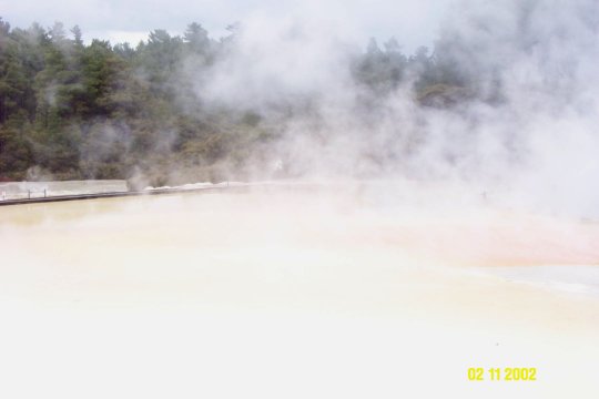 Dcp_0786_.jpg (17485 byte)