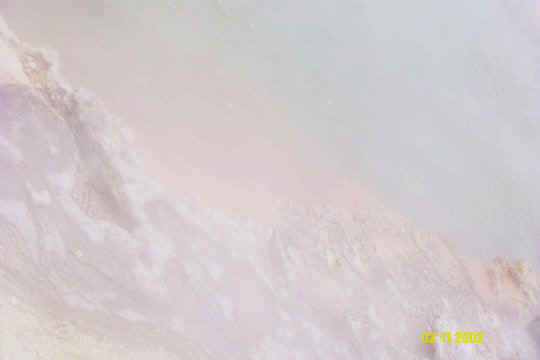 Dcp_0788_.jpg (17221 byte)