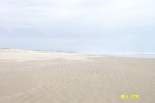 Dcp_0800_.jpg (12982 byte)