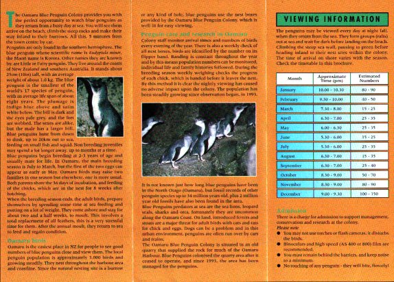 A1.jpg (100167 byte)