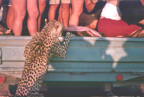 otitonsfamiamo1.jpg (45781 byte)