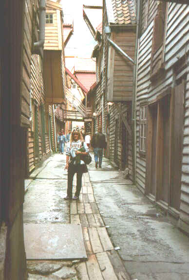 Bergenporto.jpg (59786 byte)