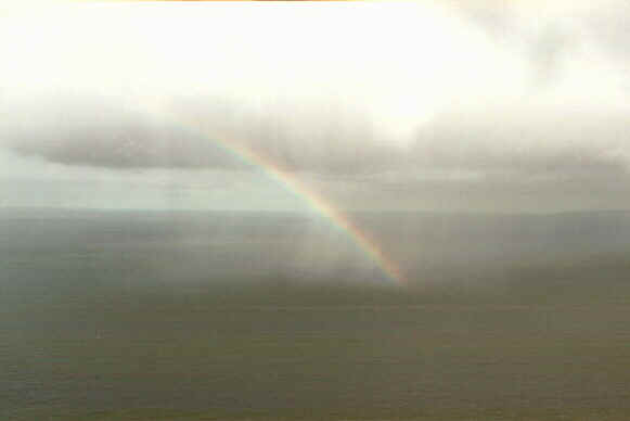 CapoNarcobaleno.jpg (18670 byte)