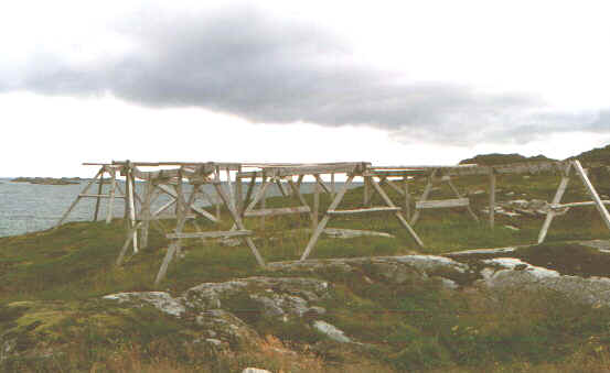 Lofoten3.jpg (40957 byte)