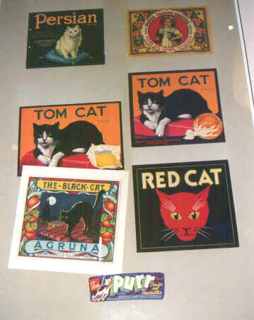 museogatti.jpg (46932 byte)